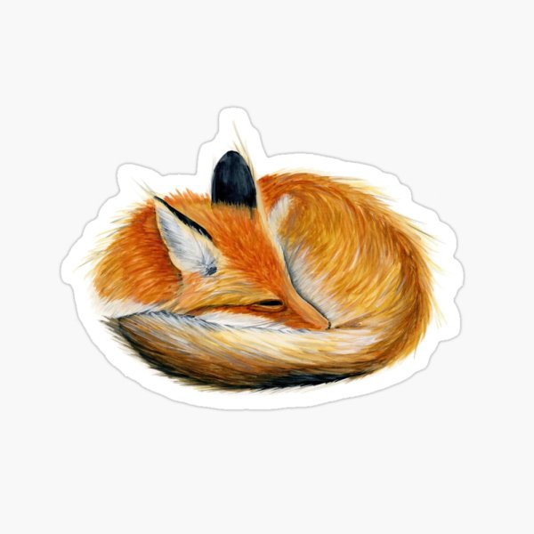 Лиса спит акварель