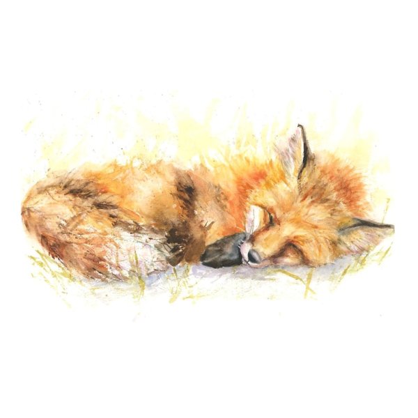 Лиса спит акварель