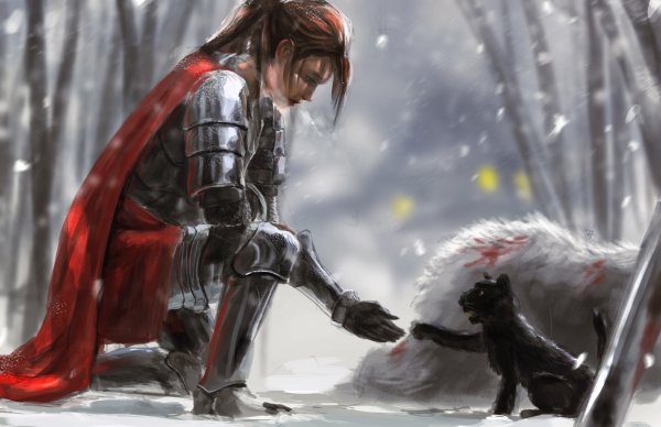 Воин фэнтези