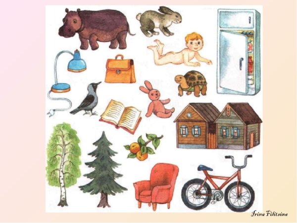 Живые и неживые предметы для дошкольников