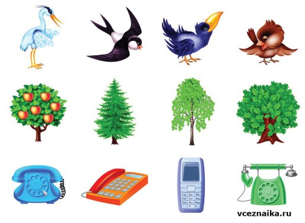 Живые и неживые предметы