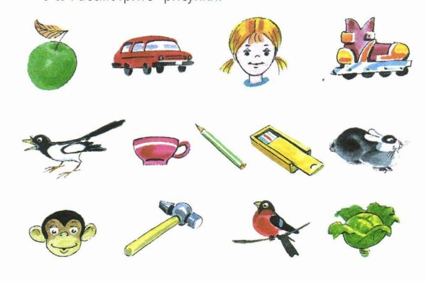 Неодушевленные предметы для дошкольников