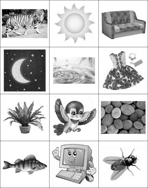 Живая неживая природа и рукотворный мир