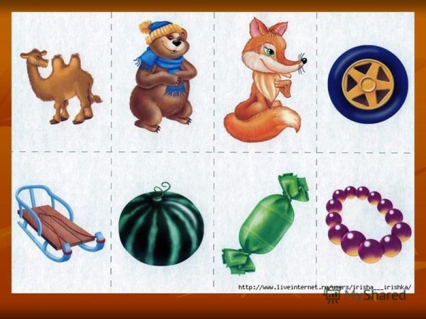 Живые и неживые предметы для дошкольников