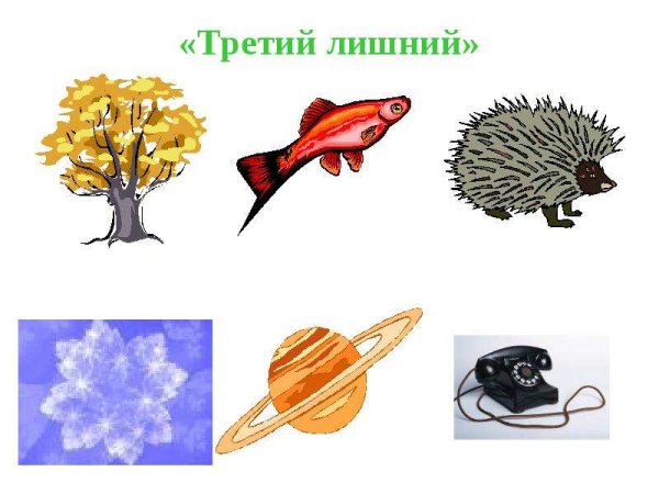 Живая неживая природа и рукотворный мир