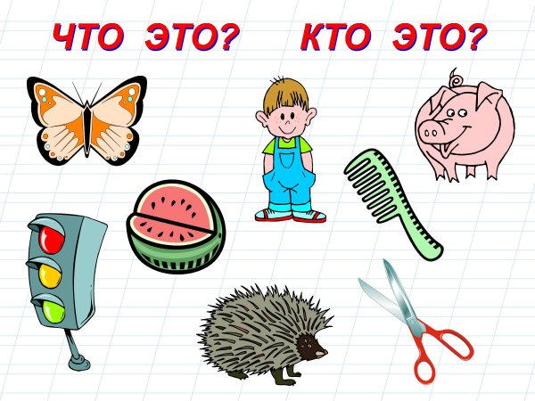 Одуншевлённые и не одуншевлённые придметы