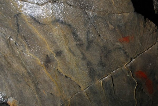 Наскальные рисунки в пещере Шульган Таш