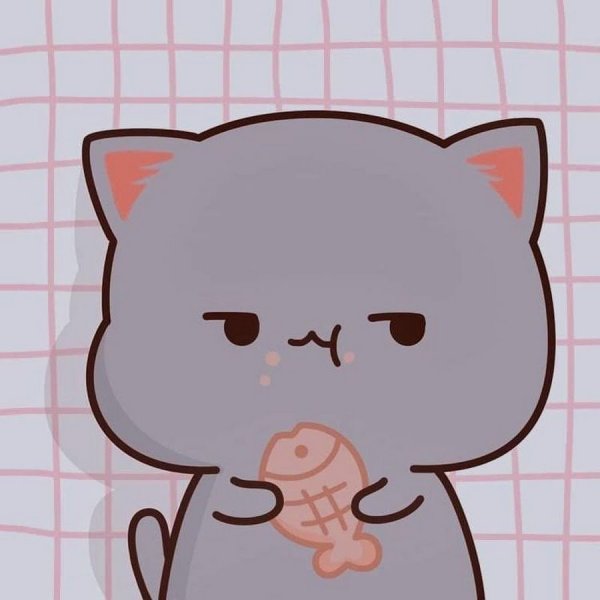 Очертание мордочки кота