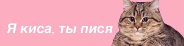 Котенок для раскрашивания