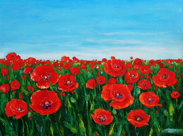 Маковое поле волшебник изумрудного города