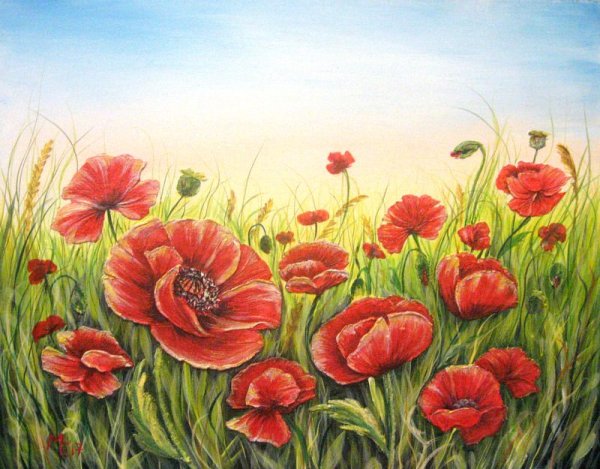 Маковое поле Анна Петунова