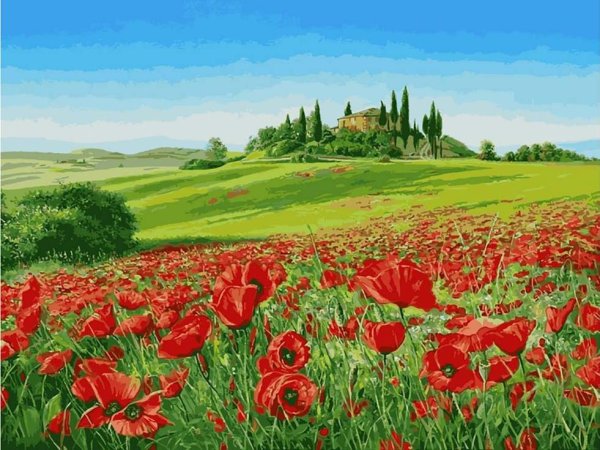 Картина по номерам Маковое поле 40x50 см