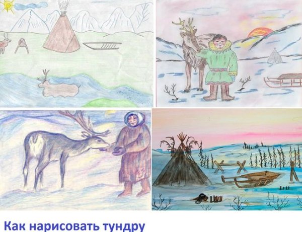 Тундра рисунок