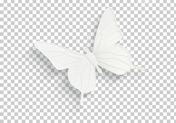 Белая бабочка на прозрачном