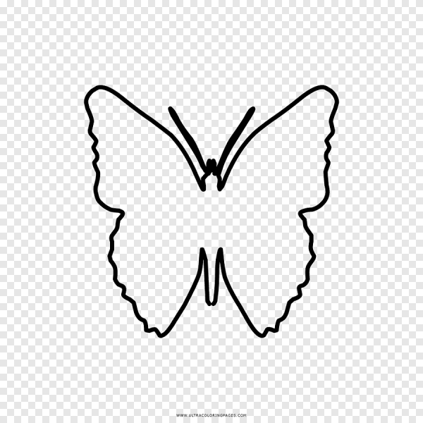 Контур бабочки на прозрачном фоне