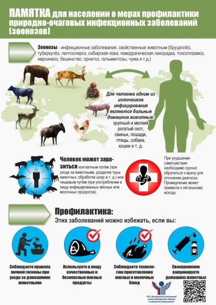 Профилактика зоонозных инфекционных болезней животных