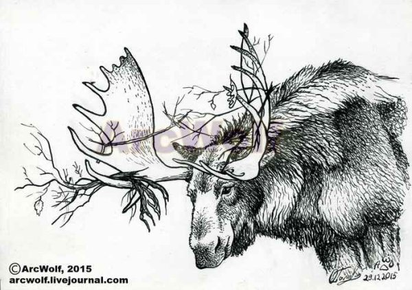 Лось эскиз