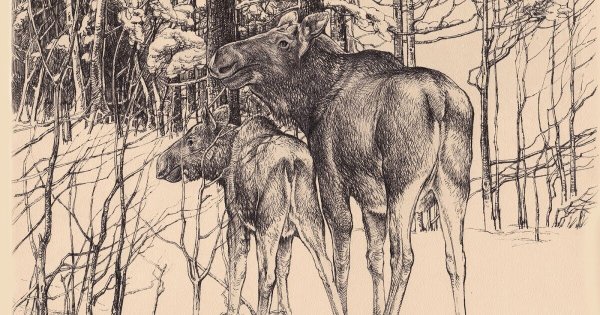 Охотничьи зарисовки