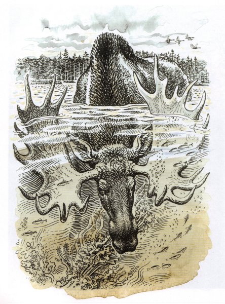 Художник анималист Вадим Горбатов