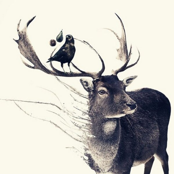 Олень рисунок