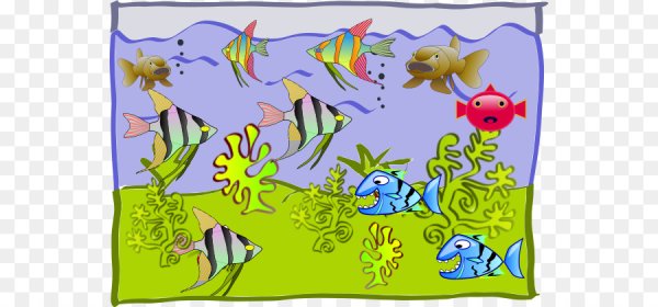 Рыбы в аквариуме для детей