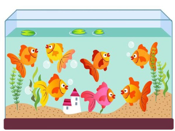 Рыбы в аквариуме для детей