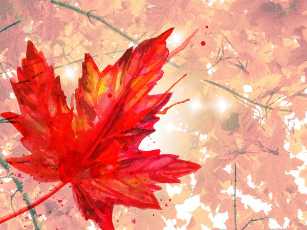 Осенние листья акварель