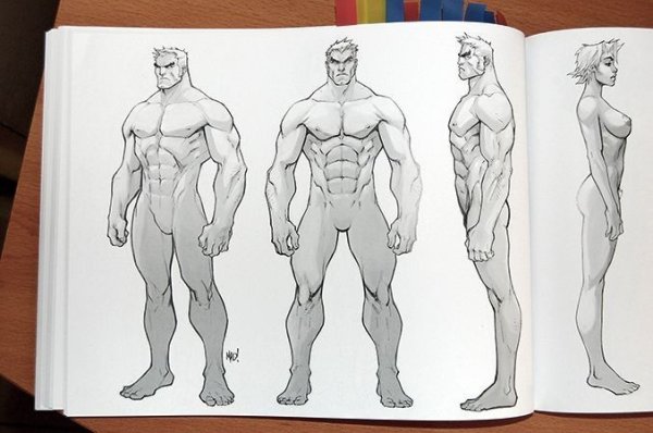 Спина качка сзади референс