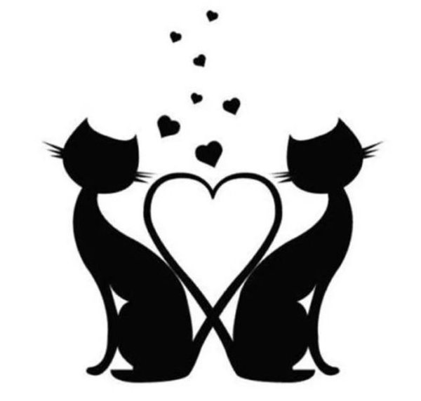 Котики любовь