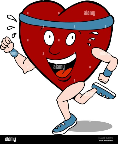 Здоровое сердце