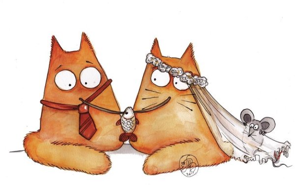 Коты Марии Ван Брюгген свадьба