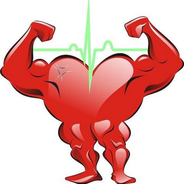 Сердце спорт