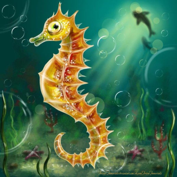 Конек горбунок морской