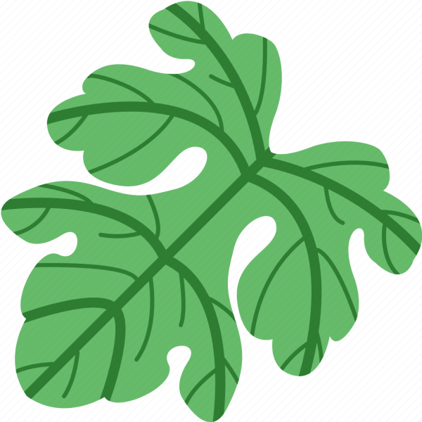 Арбузная ветка