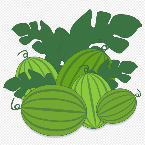 Арбузный лист вектор