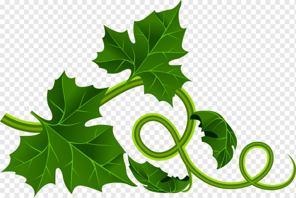 Арбузная бахча рисунок