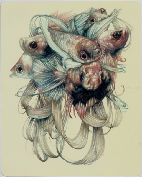 Арт цветными карандашами