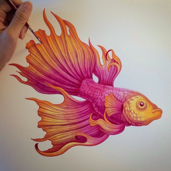Красивые рыбки для рисования