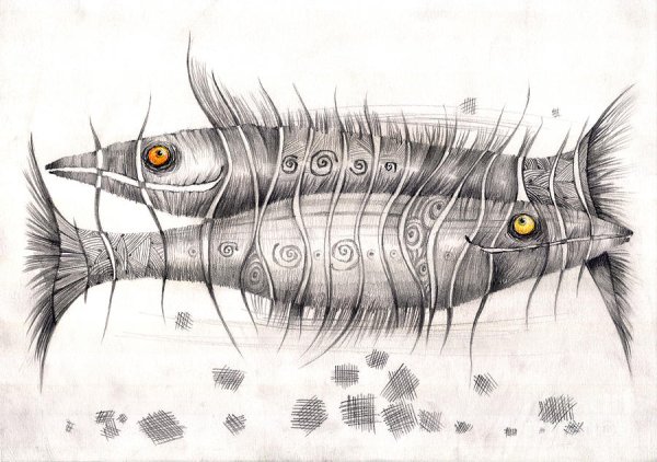 Необычная рыба рисунок