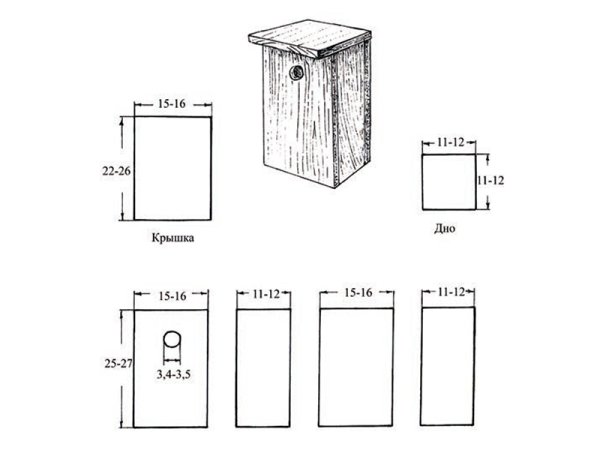 Чертежи скворечника и синичника