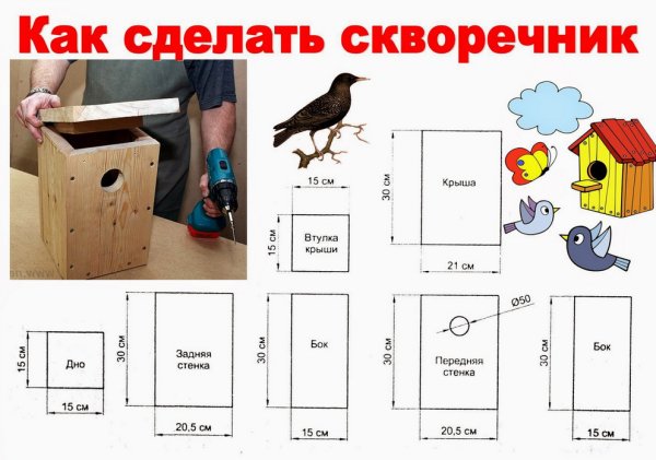 Размеры скворечника для Скворцов