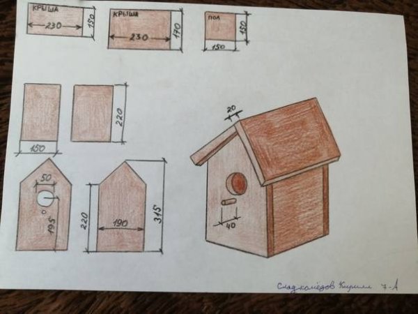 Проект скворечника