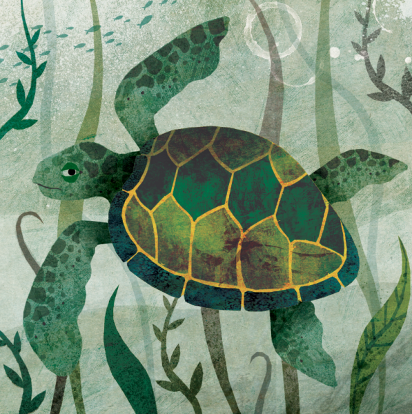 Черепаха рисунок