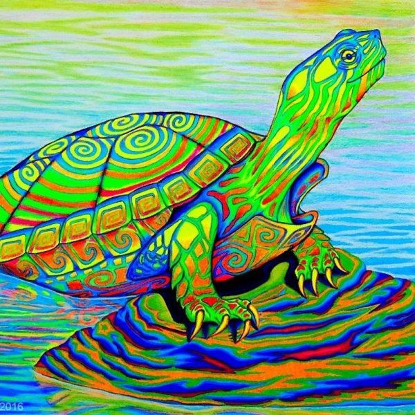 Черепаха цветными карандашами