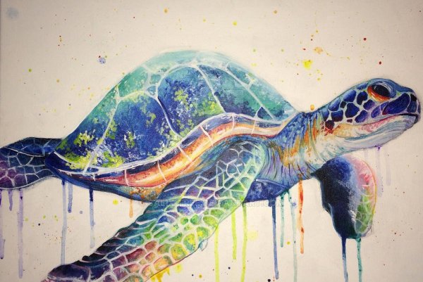 Картина черепаха