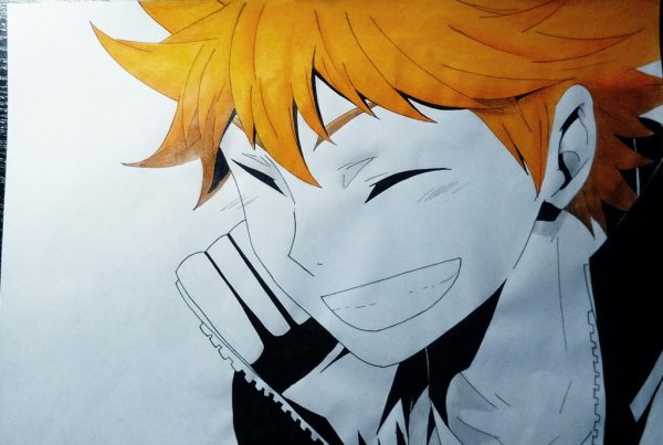 Хината шоё ханахаки