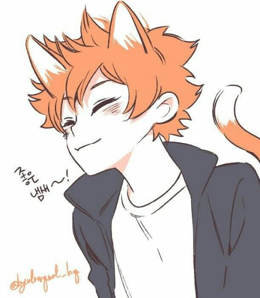 Хината шоё милые