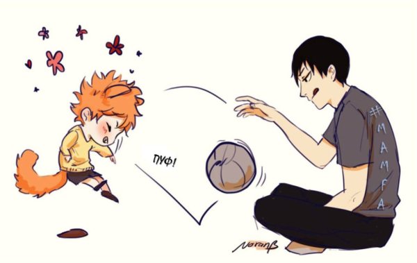 Хината шоё в полёте