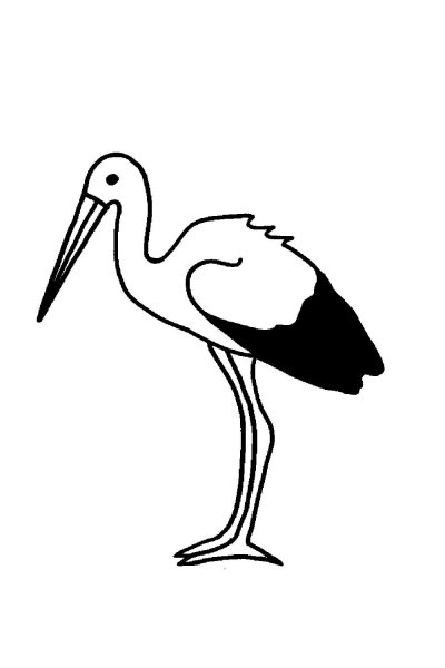 Аист раскраска для детей
