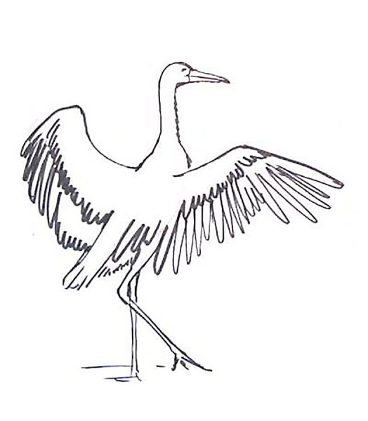 Аист раскраска